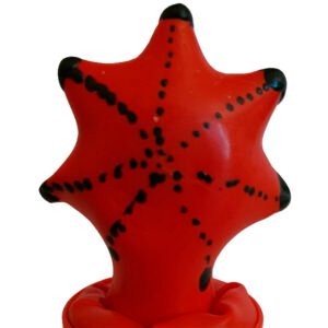 CONDOMERIE - PRESERVATIVO DECORATIVO PINTADO A MANO ESTRELLA DE MAR